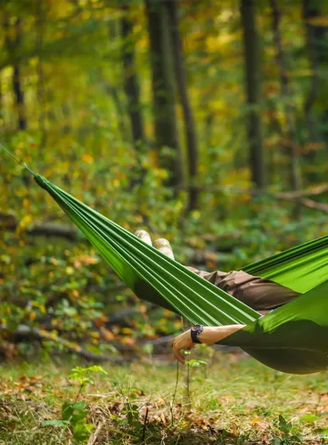 Hamak Lesovik Bystry - treetop green