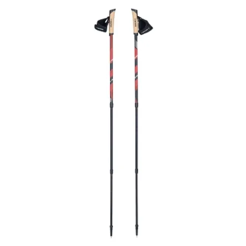 Kije do Nordic Walking Viking Kube PRO