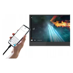 Monitor ZENWIRE M8P 15.6" 1920x1080px IPS