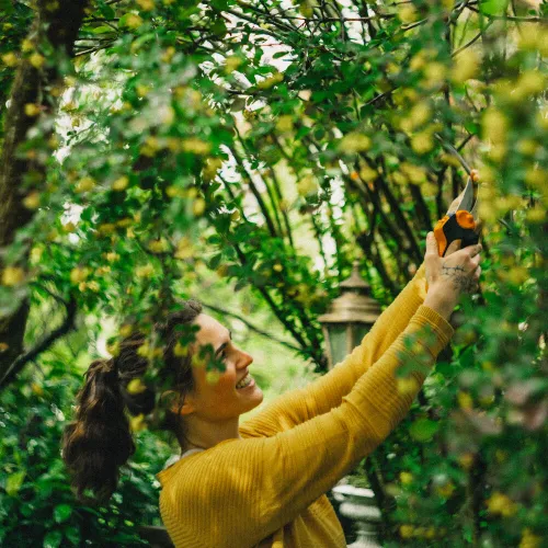 Sekator nożycowy L Fiskars X-series P961