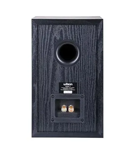 Kolumny Wilson Raptor 3 Czarny 2szt.