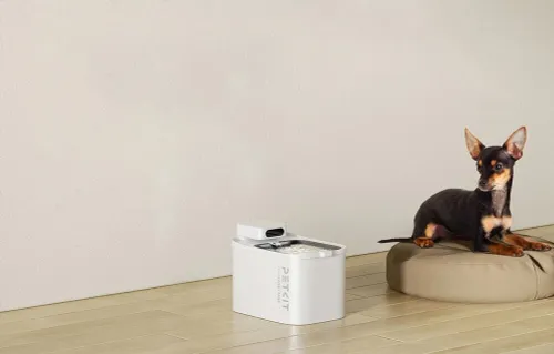 Fontanna dla zwierząt PETKIT EverSweet Max