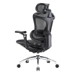 Fotel SIHOO Doro C300 PRO Czarny