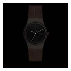 Skagen Sol Skw3023 Rose Gold / Rose Gold Saatler