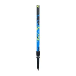 Kije do Nordic Walking Viking Ruten Pro