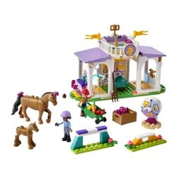 Конструктор LEGO Friends 41746 обучение лошадей