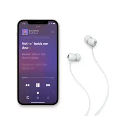 Apple Beats Flex-беспроводные наушники для комфортного использования в течение всего дня-дымчатый серый