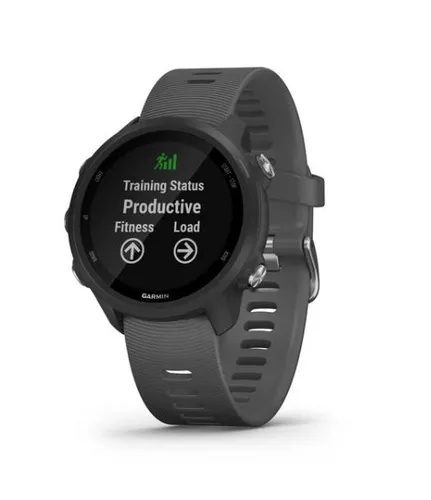 Умные Часы Garmin Forerunner 245 Серый