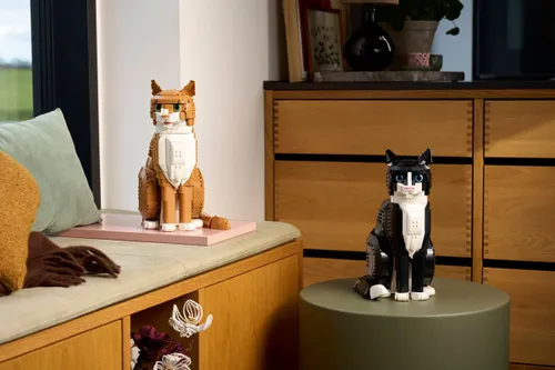 LEGO 21376 Ideas - Rudy kot