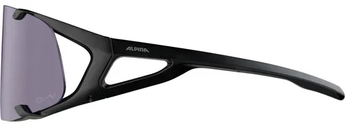 Okulary fotochromowe ALPINA Hawkeye Q-Lite V