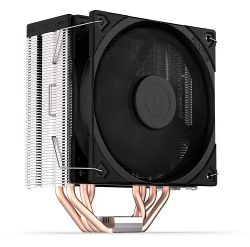 Procesor AMD Ryzen 5 5600G BOX (100-100000252BOX) + Fera 5