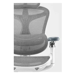 Fotel gamingowy SIHOO Doro C300 PRO Biały