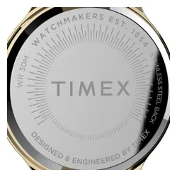 Timex Peyton TW2V06600 Siyah / Altın Saat