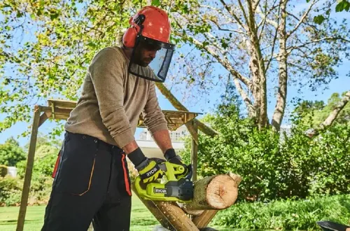 Piła łańcuchowa akumulatorowa RYOBI 18V RY18CS20A-120P 2Ah