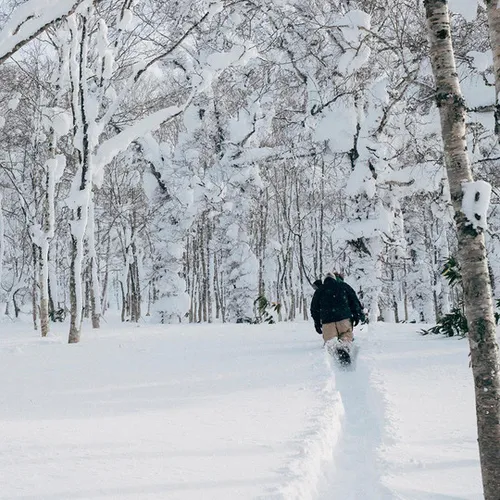 Deska Rome Mechanic 2026