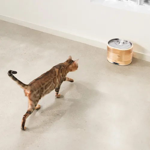 Fontanna dla zwierząt ENABOT Rola Fountain