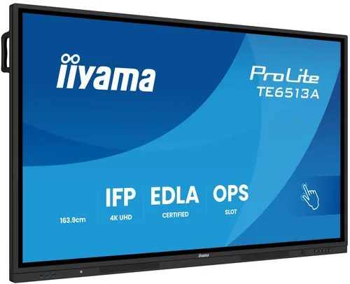iiyama ProLite TE6513A-B1AG