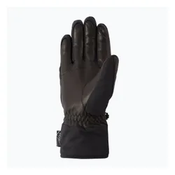 Rękawice narciarskie męskie ZIENER Getter Aquashield AW alpine black