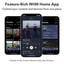 Odtwarzacz WiiM Ultra Silver
