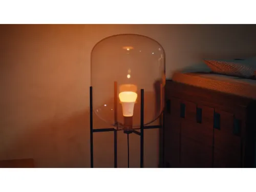 Żarówka LED Philips Hue White and Colour Ambiance A60 E27 2szt.