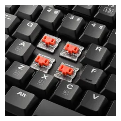 Klawiatura Sharkoon PureWriter TKL Kailh Red