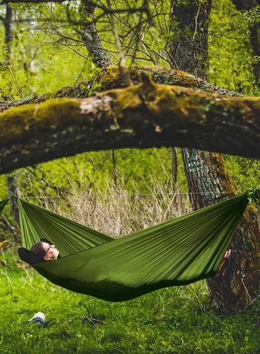 Hamak Lesovik Bystry - treetop green