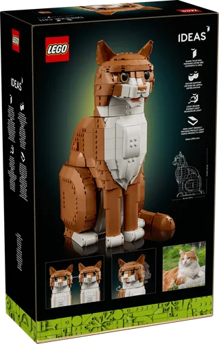 LEGO 21376 Ideas - Rudy kot