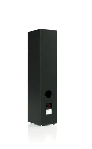 Kolumny Pylon Audio Pearl 25 Czarny 2szt.