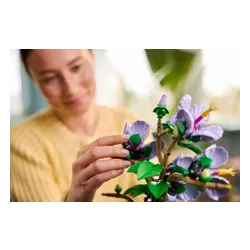 LEGO 10372 Botanicals Hibiskus