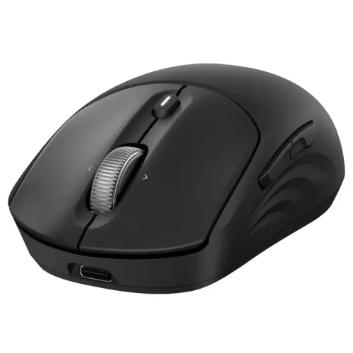 Myszka HP 700 Rechargeable Czarny