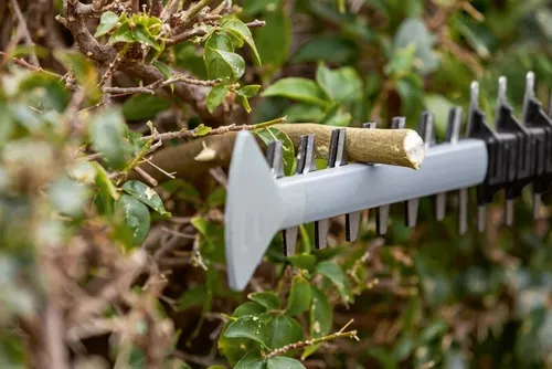 Nożyce do żywopłotu BOSCH GHE 18V-60 06008C9000 600mm 18V akumulatorowe