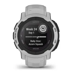 Smartwatch Garmin Instinct 2 Solar 45mm GPS серый