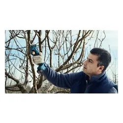 Sekator akumulatorowy Bosch Pro Pruner