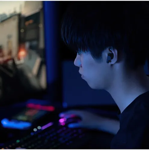 Słuchawki dokanałowe FINAL AUDIO VR3000 Wireless ANC Czarny