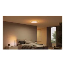 Lampa sufitowa Philips Datura Duża