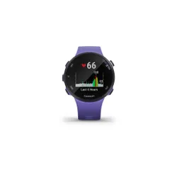 Смарт-часы Garmin Forerunner 45S ирис (010-02156-11)