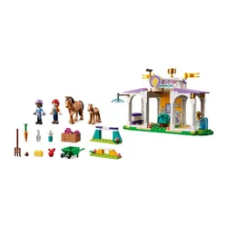 Конструктор LEGO Friends 41746 обучение лошадей