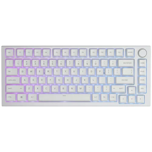 Klawiatura mechaniczna Glorious GMMK Pro White Ice 75% TKL RGB Barebone - szary