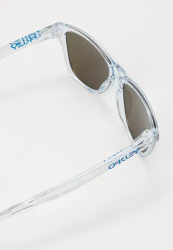 FROGSKINS UNISEX - Okulary przeciwsłoneczne - polished clear