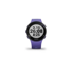 Смарт-часы Garmin Forerunner 45S ирис (010-02156-11)