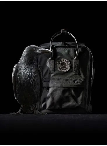 Городской рюкзак Fjallraven Kanken No. 2-black