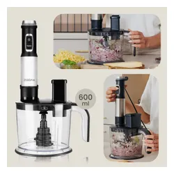 Blender ZEEGMA Handy Chef Versablend