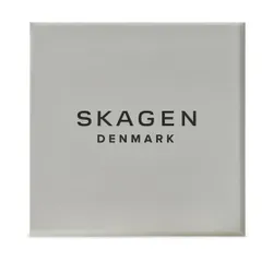 Skagen SKW6872 Gümüş Saat