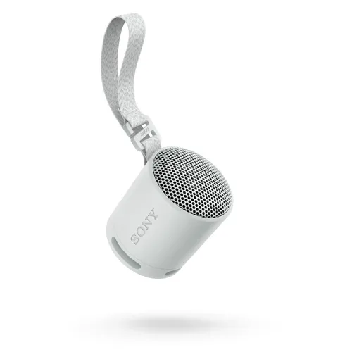 Динамик Bluetooth Sony SRS-XB100 5W серый