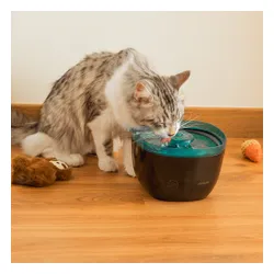 Fontanna dla zwierząt CECOTEC Pumba 2200 Refresh 09561