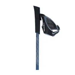 Kije do Nordic Walking Viking Forrester