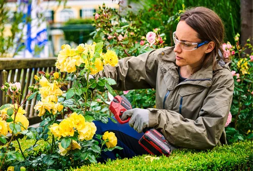 Sekator do gałęzi akumulatorowy EINHELL GP-LS 18/28 Li BL-Solo 3408320