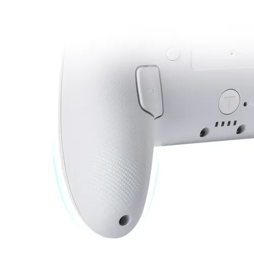 Adapter FUNLAB Firefly Pro Controller - Kakariko do Nintendo Switch / Switch 2 Bezprzewodowy