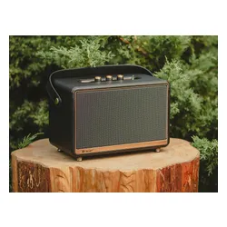 Bluetooth-динамик Tracer M45 TWS 45 Вт FM-радио Черный