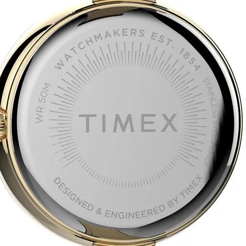 Timex City TW2V45100 Siyah / Altın Saatler